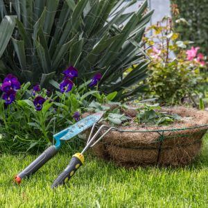 Buy Qatar Email Consumer Database By DIY and gardening enthusiasts
