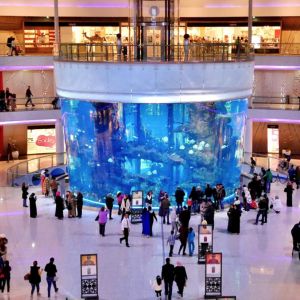 Buy Qatar Email Consumer Database List 125 000 Emails who have visited aquariums in Malls in Doha